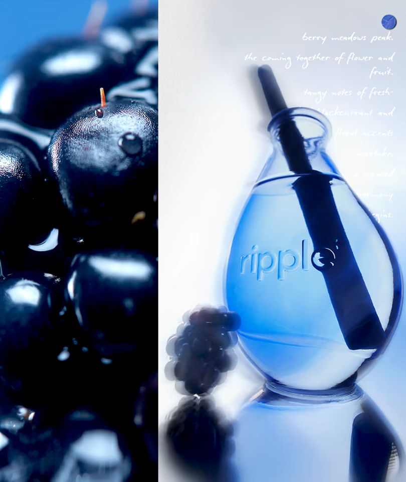 BERRY OASIS - reed diffuser (wild berry aroma + bergamot + osmanthus)