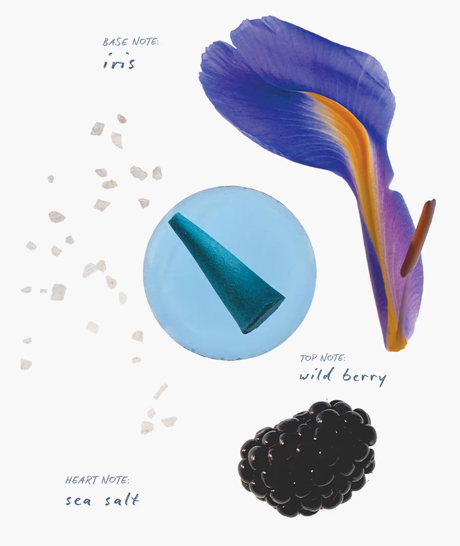 BERRY OASIS - Droplets (wild berry aroma + sea salt + iris)