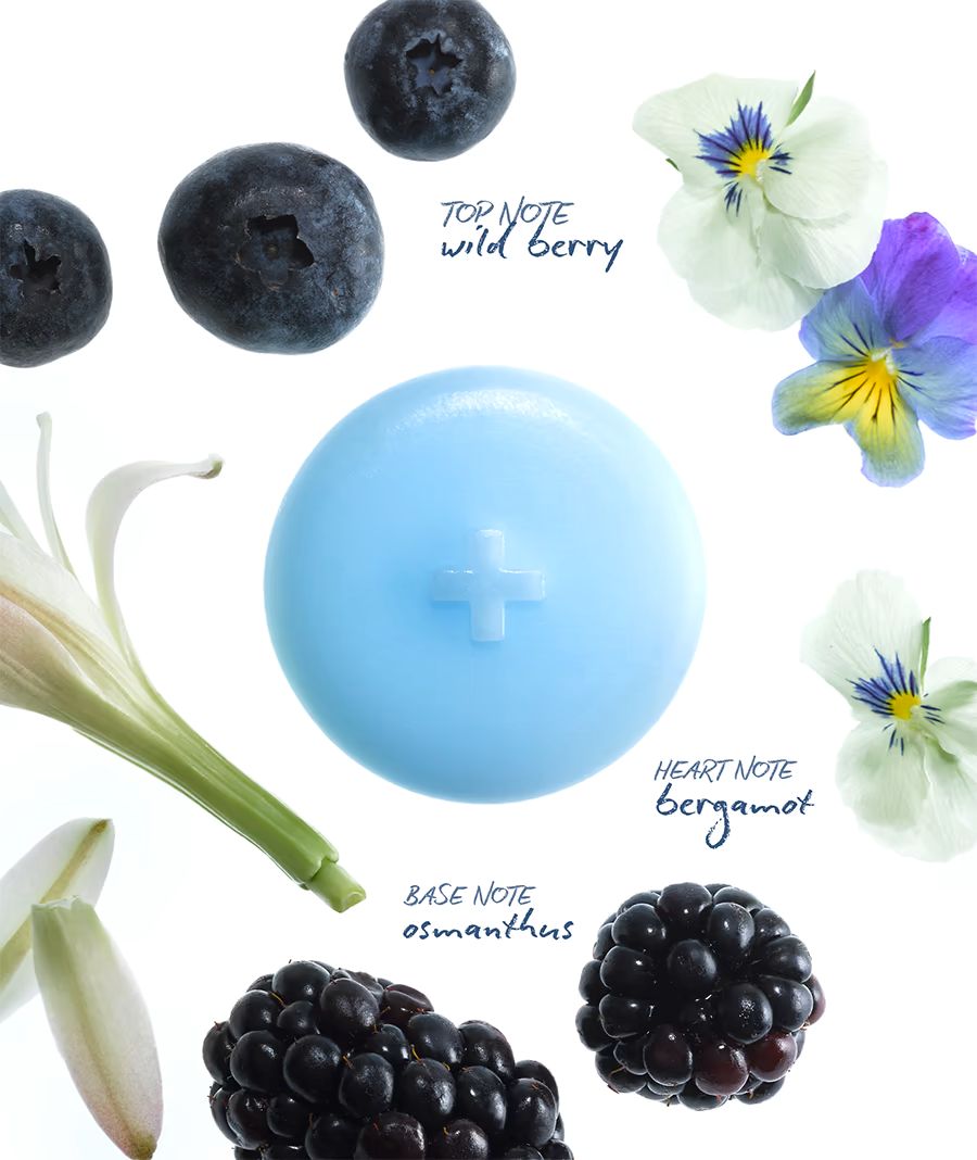 WILD BERRY - wax melts (wild berry + bergamot + osmanthus)