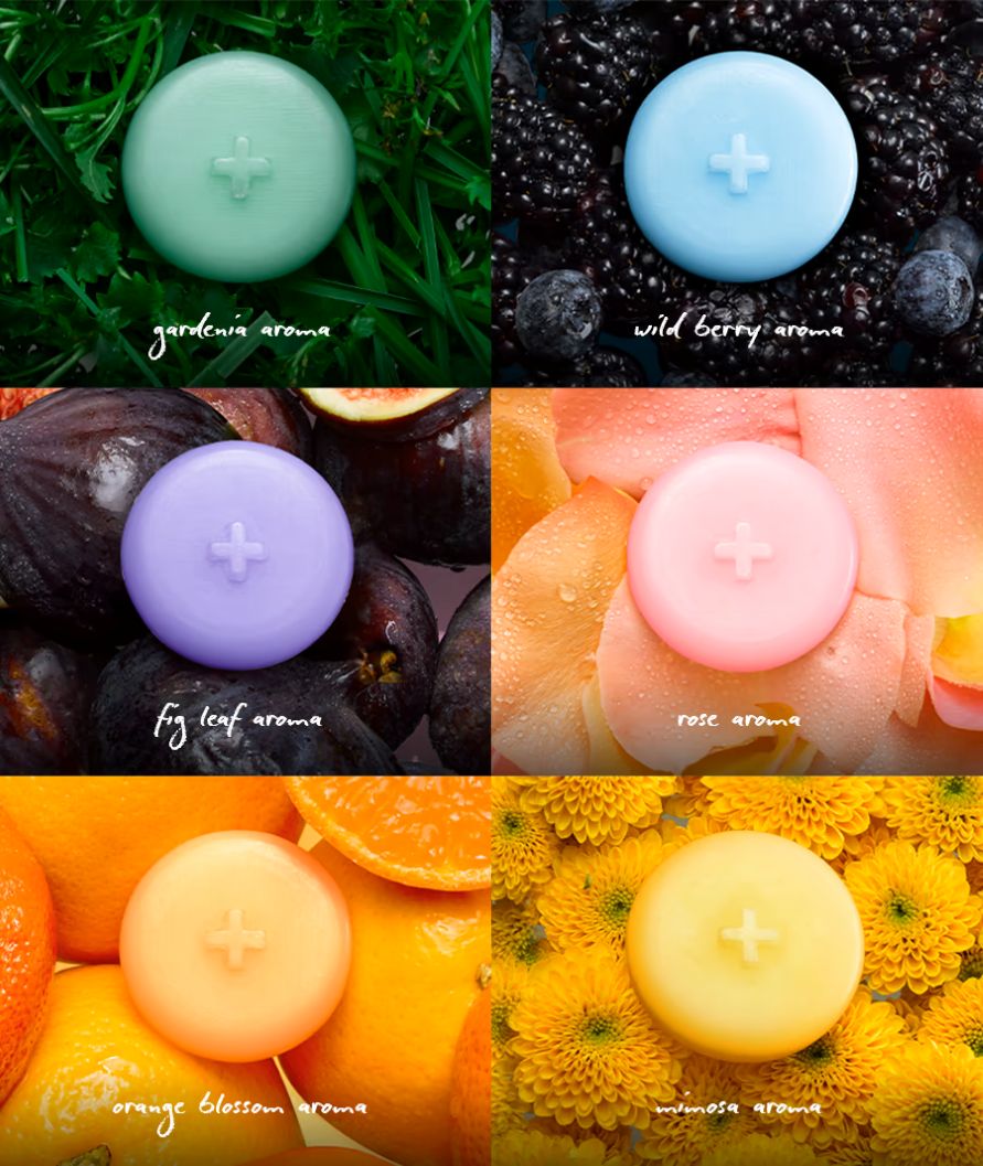 WAX MELTS MULTIPACK (full-set of wax melts)