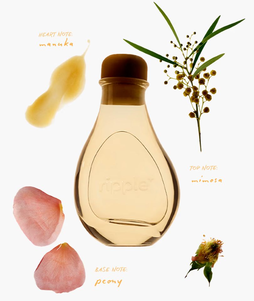 MIMOSA DEL SOL - reed diffuser (mimosa aroma + manuka + peony)