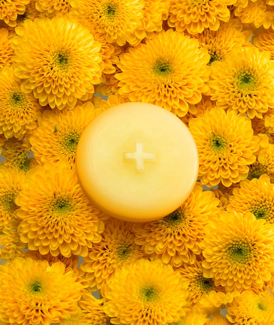 MIMOSA - wax melts (mimosa + manuka + peony)