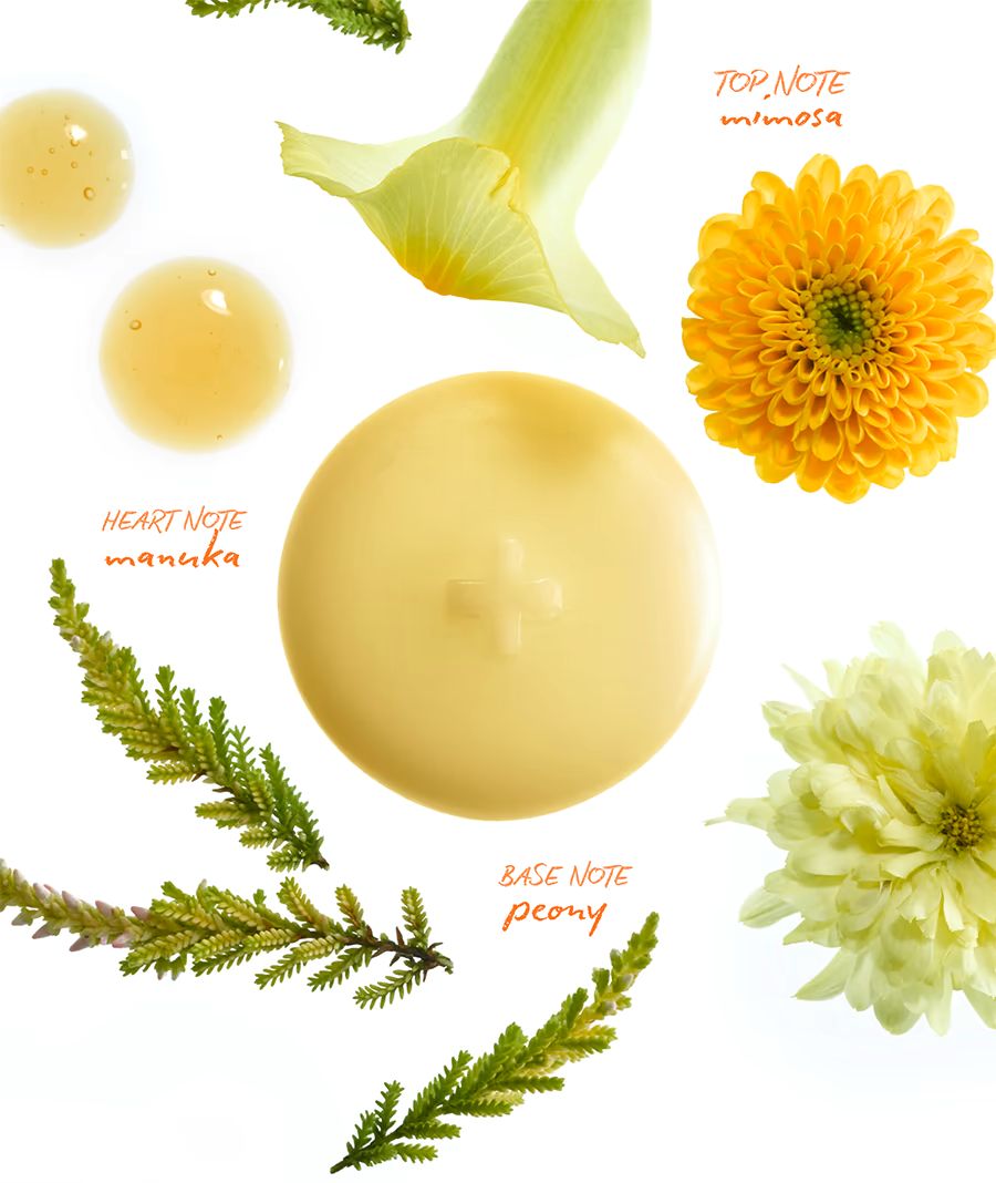 MIMOSA - wax melts (mimosa + manuka + peony)