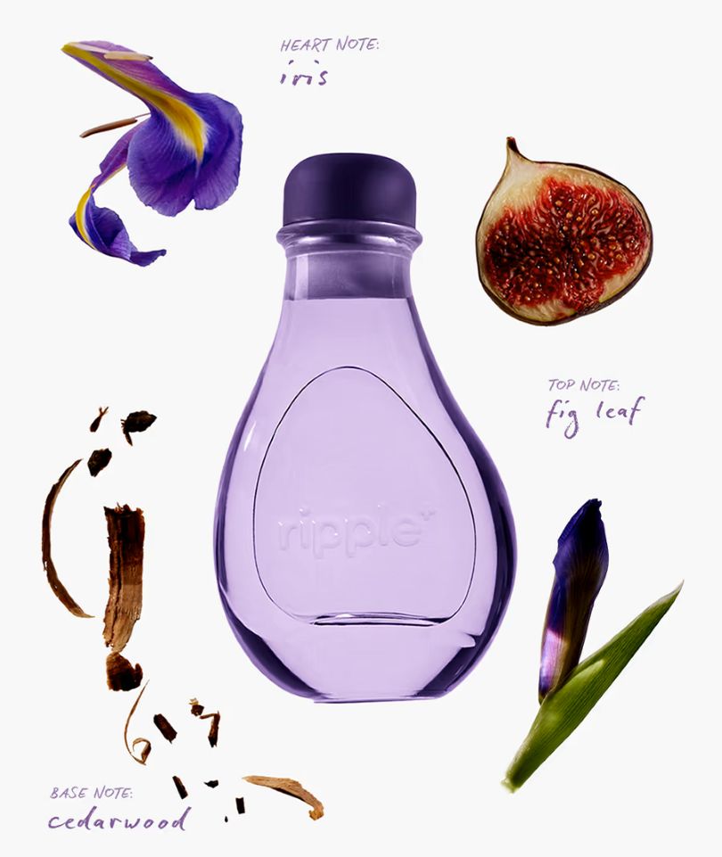 FIGTROPOLIS - reed diffuser (fig leaf aroma + iris + cedarwood)